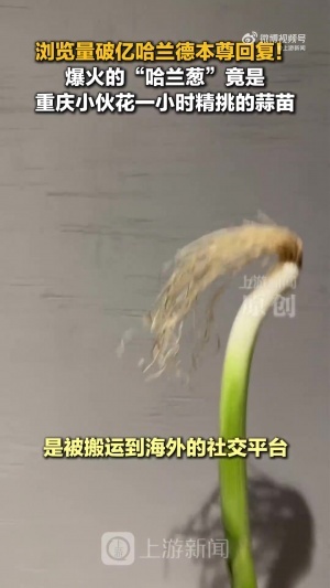 梅西世界杯直播-世界杯梅西直播免费高清在线观看_世界杯视频在线观看无插件